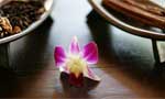 三亚财富海湾大酒(jiǔ)店SPA中(zhōng)心